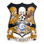 Three Bridges logo