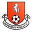 Tunbridge Wells logo