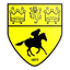 Newmarket Town logo
