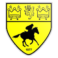 Newmarket Town