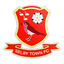 Selby Town logo