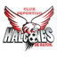 CD Halcones de Rayón logo