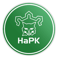 Haminan Pallo-Kissat