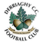 Derriaghy C.C.F.C. logo