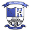 Ballinhassig A.F.C. logo
