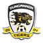 Dungannon Tigers logo