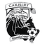 Carbury F.C. logo