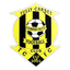 Tullycarnet Community F.C. logo