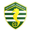 Greystones United A.F.C. logo