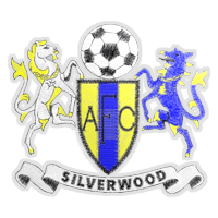 A.F.C. Craigavon