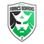 Royal Francs Borains logo
