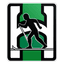 IL Heming logo