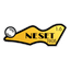 Neset FK logo