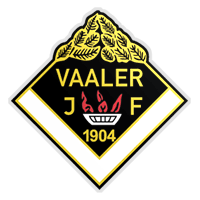 Vaaler IF