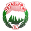 Haslum IL logo