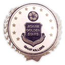 Jigawa Golden Stars