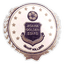 Jigawa Golden Stars F.C. logo