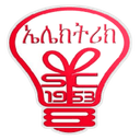 Ethio Electric