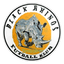 Black Rhinos FC logo
