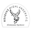 Mbabane Highlanders logo