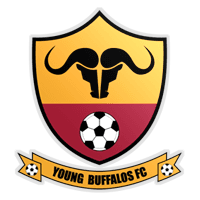Young Buffaloes