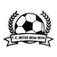 Inter Futebol Clube de Bom-Bom logo