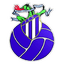 Futebol Clube Derby logo