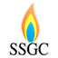 Sui Southern Gas Company logo