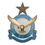 Pakistan Air Force logo