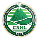 CS Hammam-Lif