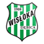 Wisłoka Dębica logo