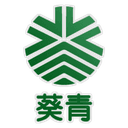 Kwai Tsing