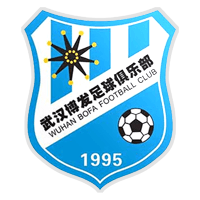 Wuhan Bofa