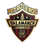 Club Petroleros de Salamanca logo