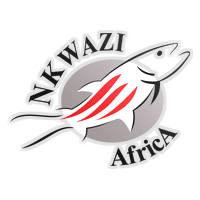 Nkwazi FC