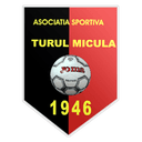 Turul Micula