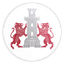 CSM Cetatea Turnu Măgurele logo