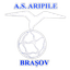 AS Aripile Braşov logo