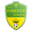 ACS Foresta Suceava logo