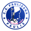 CS Păulişana Păuliş logo