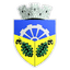 CSO Plopeni logo
