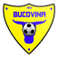 CSM Bucovina Rădăuţi logo