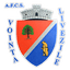 ACS Viitorul Livezile logo