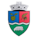 Voinţa Mărişelu