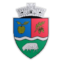 ACS Voinţa Mărişelu