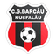 CS Barcău Nuşfalău logo