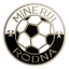 CS Minerul Rodna logo