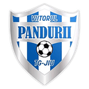 Viitorul Târgu Jiu
