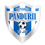 ACS Viitorul Pandurii Târgu Jiu logo