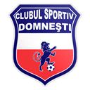 CS Domneşti